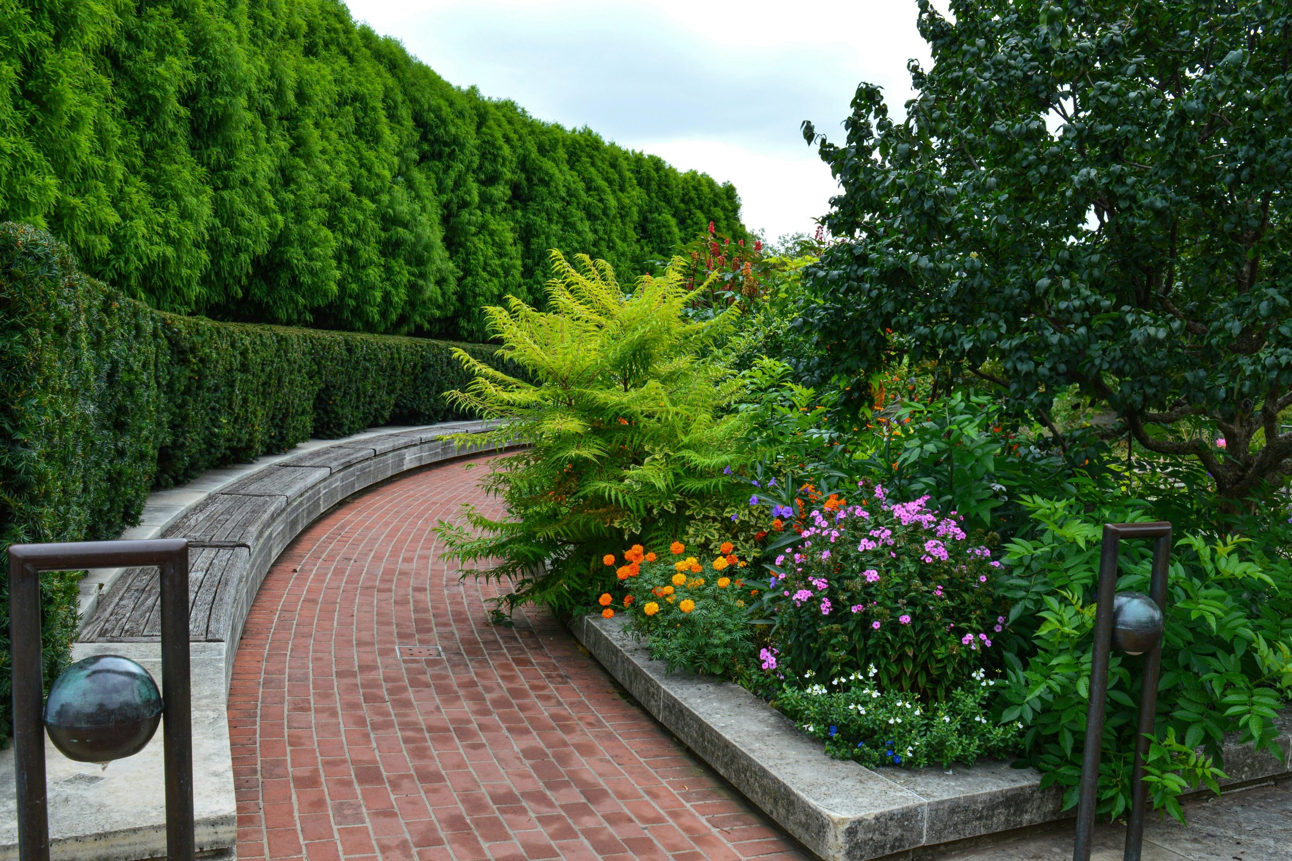 Hello World Featured Image